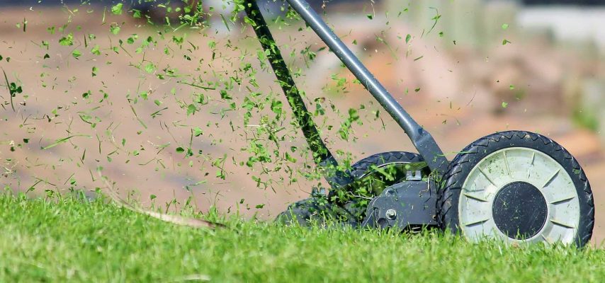Rasenmäher - Energiespartipps für den Garten