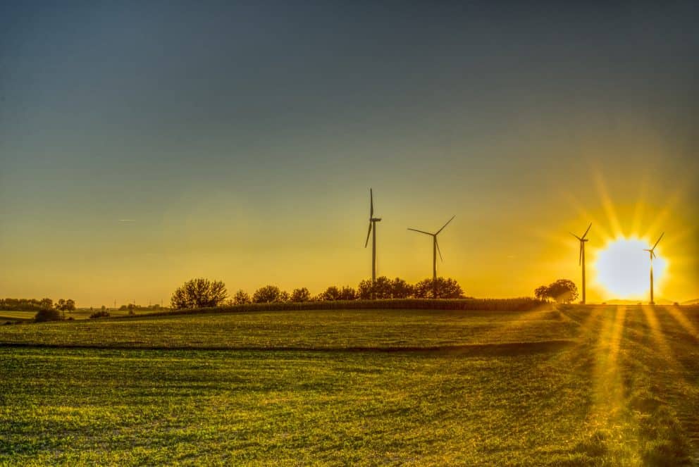 Sonnenaufgang mit Windrädern, Klimaschutz