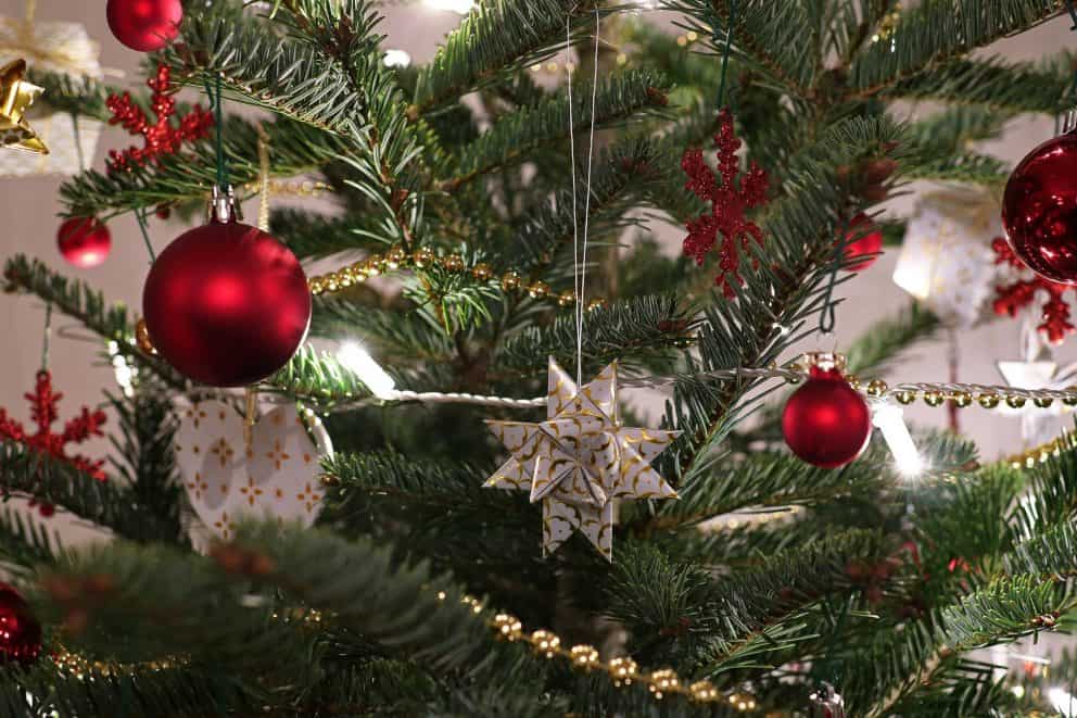 Weihnachtsbäume als Energielieferant, geschmückter Baum