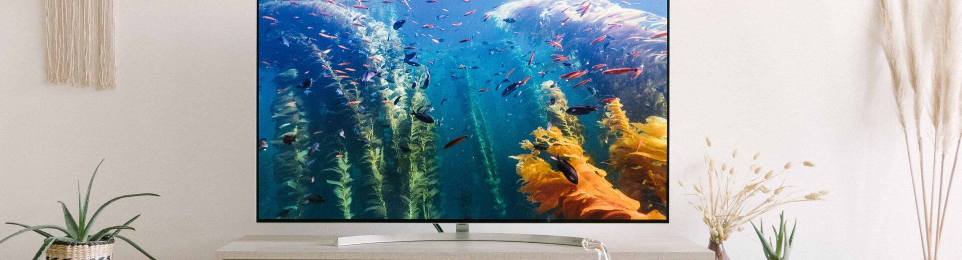 OLED, Fernseher mit organischen Licht