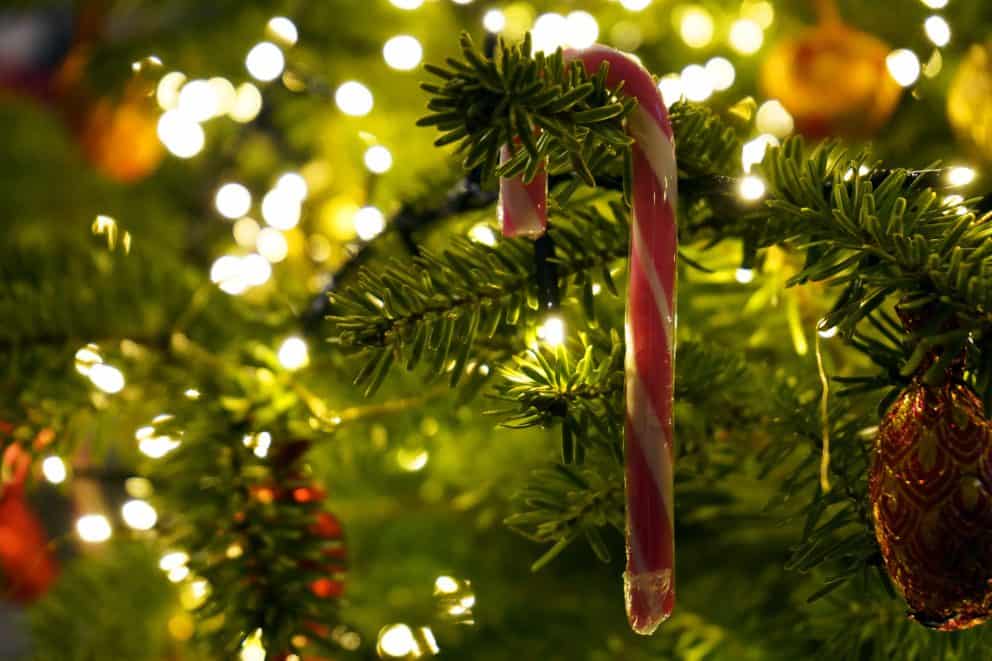 leuchtender Weihnachtsbaum mit Zuckerstange