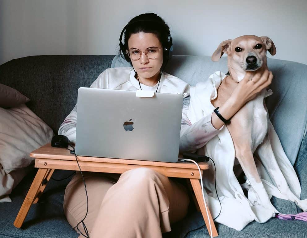 Frau sitzt mit Hund und Laptop auf einem Sofa