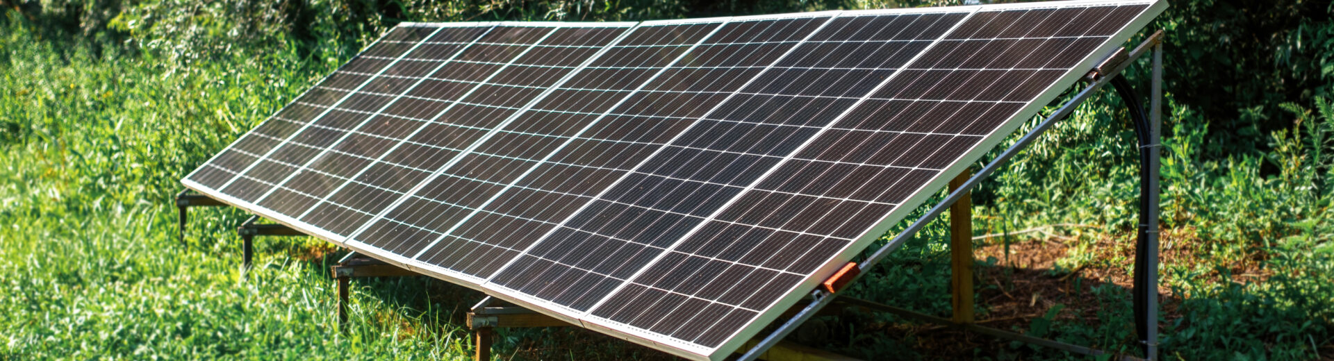 Solarmodule in einem Garten