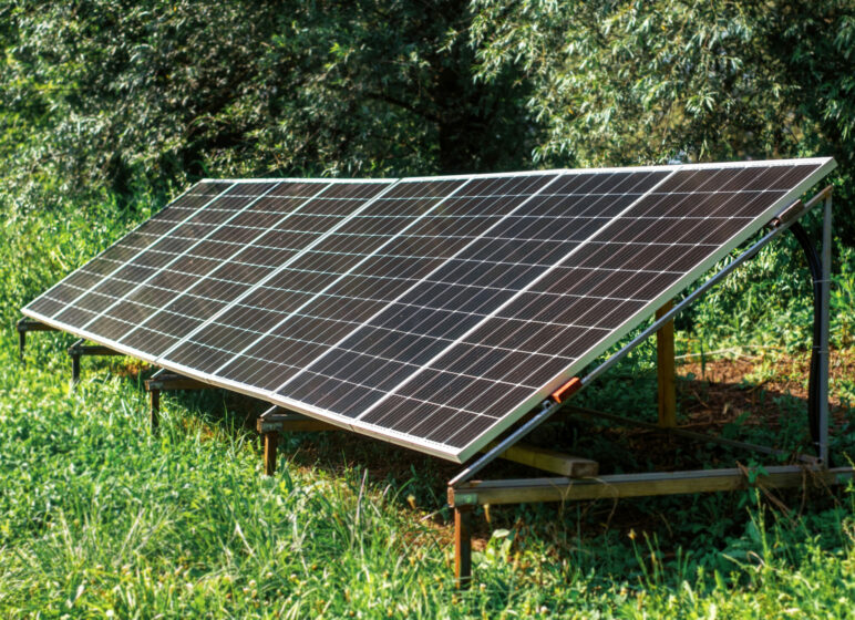 Solarmodule in einem Garten
