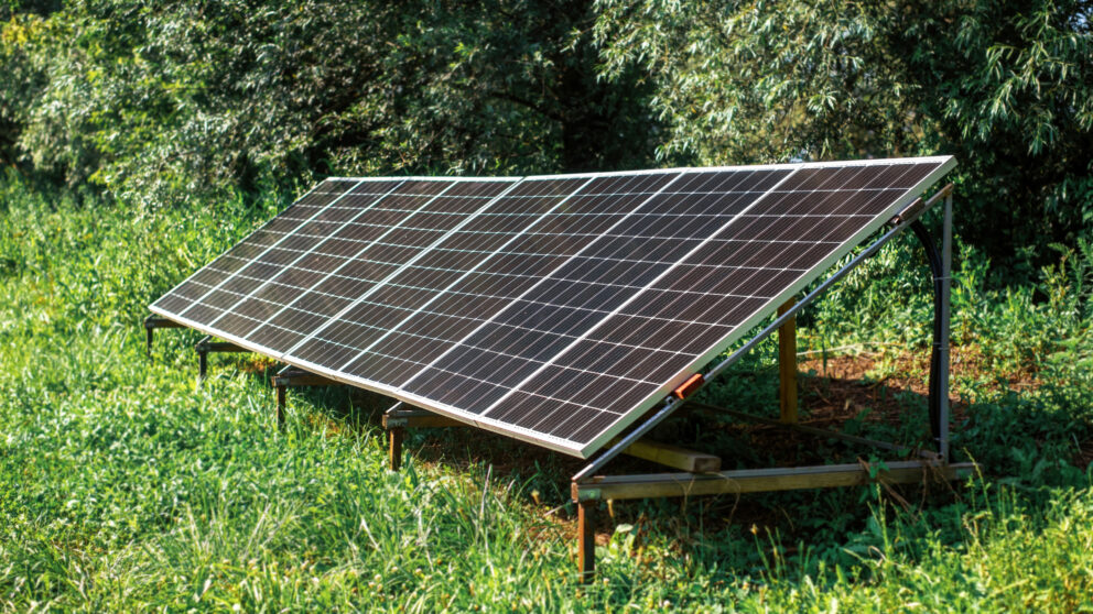 Solarmodule in einem Garten
