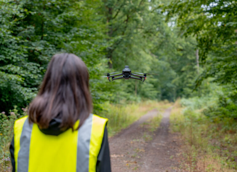 Smarte Forstwirtschaft, fliegende Drohne im Wald