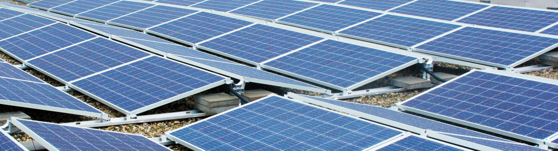 Solarmodule auf einem Flachdach