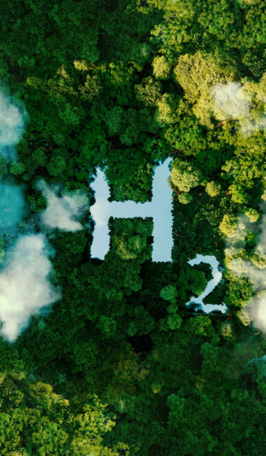 Zeichen H2 umgeben von Wald