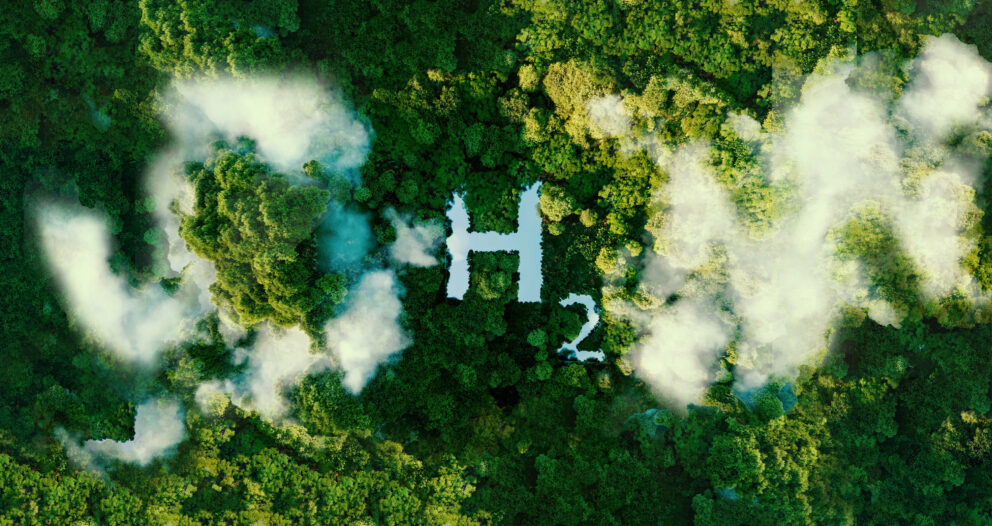 Zeichen H2 umgeben von Wald