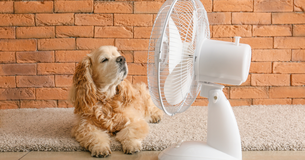 Sommermythen, Mythos 1: Ventilatoren kühlen den Raum ab