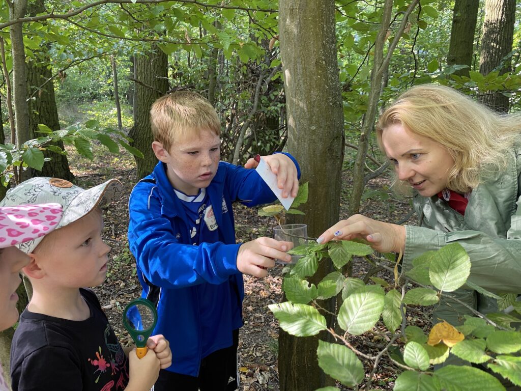 Blätter Entdecken Kinder