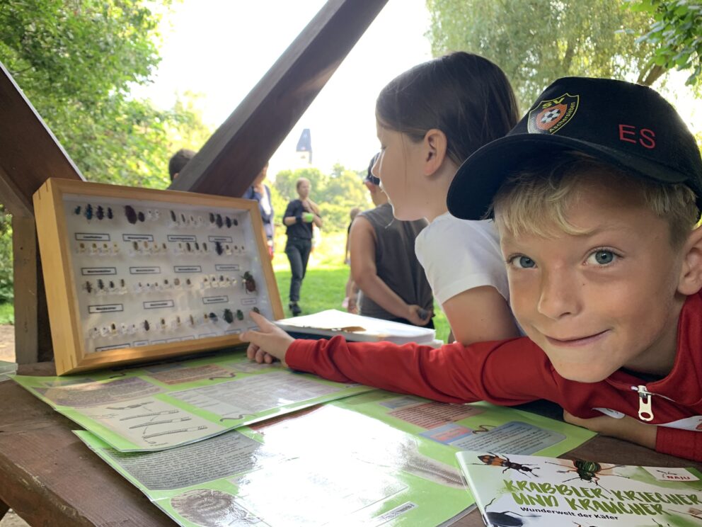 Natur zum Anfassen, Wilder Wald – wo sich Fuchs und Hase ‘Gute Nacht’ sagen