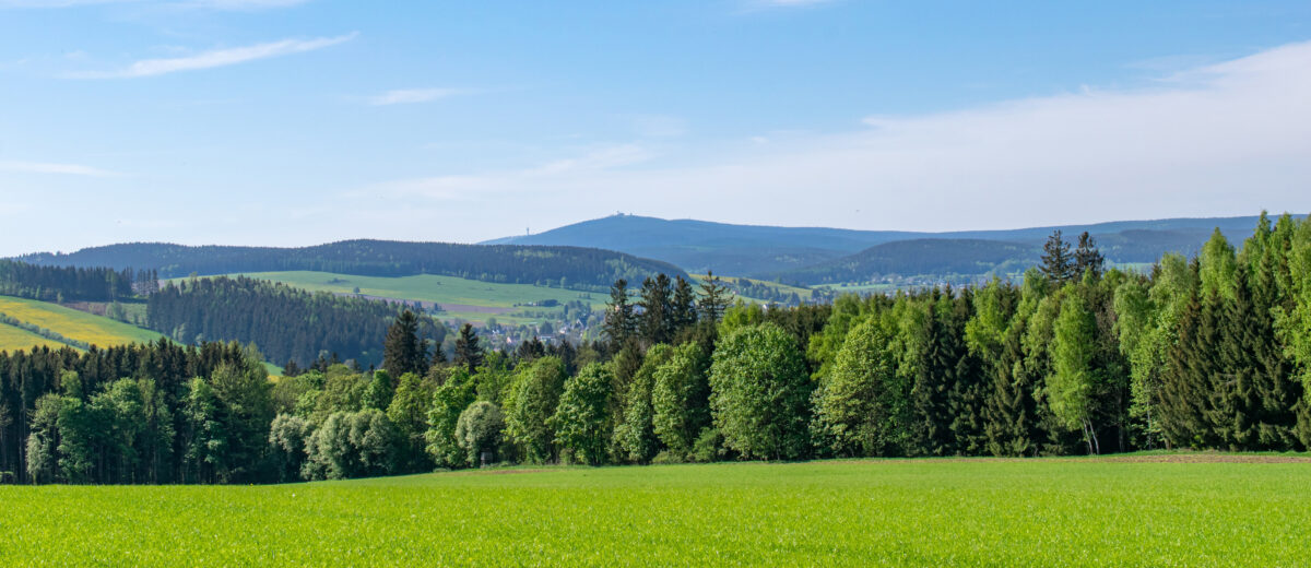 Landschaft mit Wiese und Hügeln, Erzgebirge