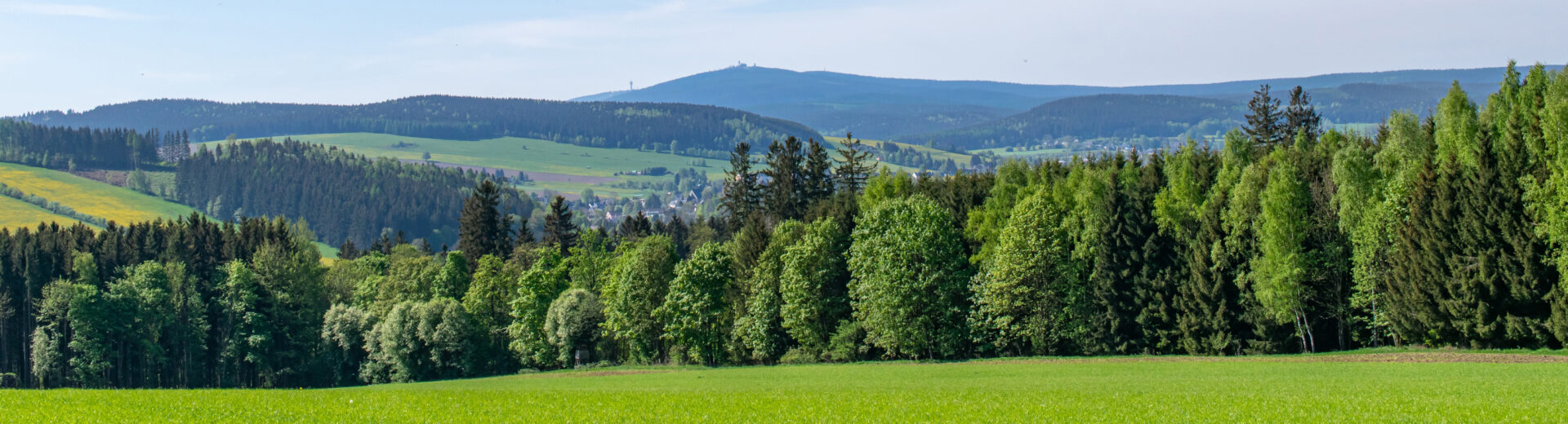 Landschaft mit Wiese und Hügeln, Erzgebirge