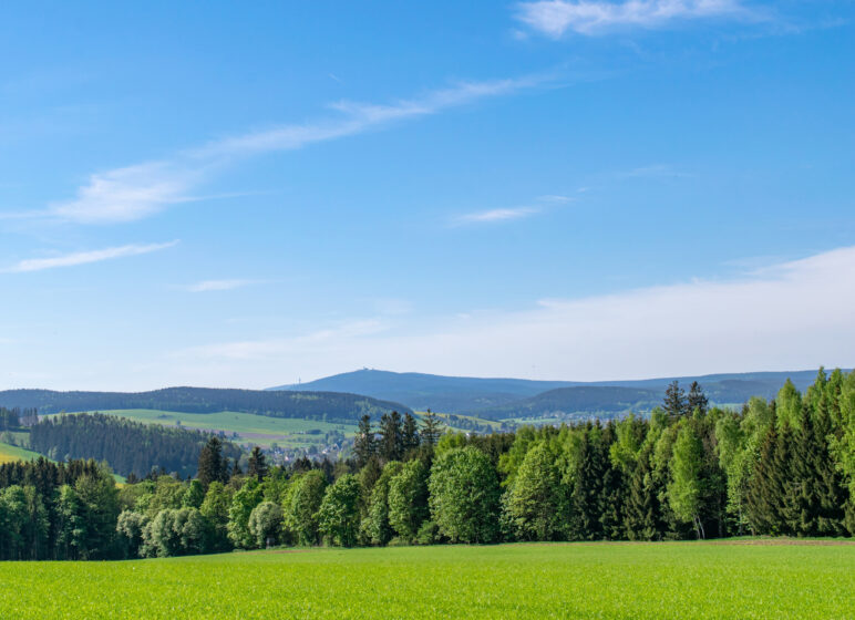 Landschaft mit Wiese und Hügeln, Erzgebirge