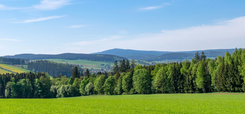 Landschaft mit Wiese und Hügeln, Erzgebirge