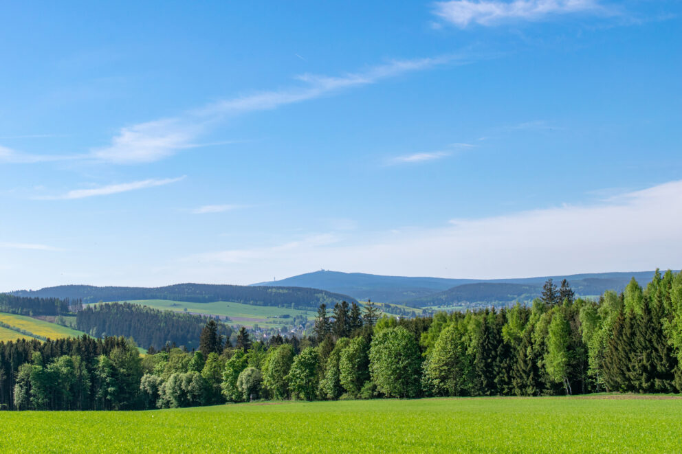 Landschaft mit Wiese und Hügeln, Erzgebirge