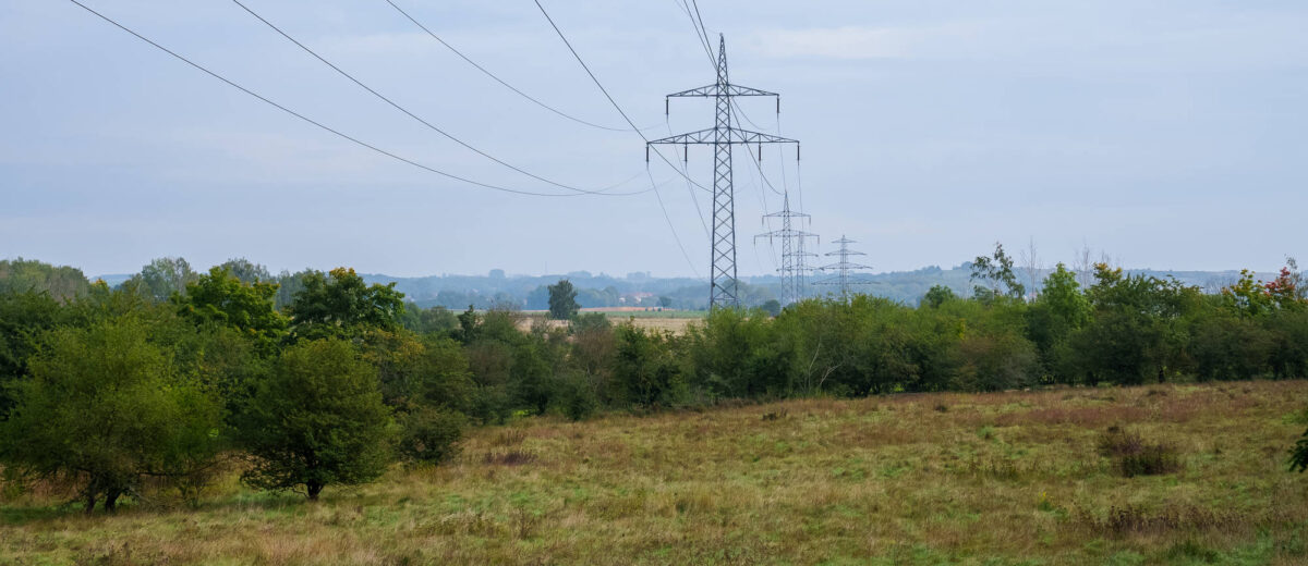 Ökologisches Trassenmanagement, ÖTM