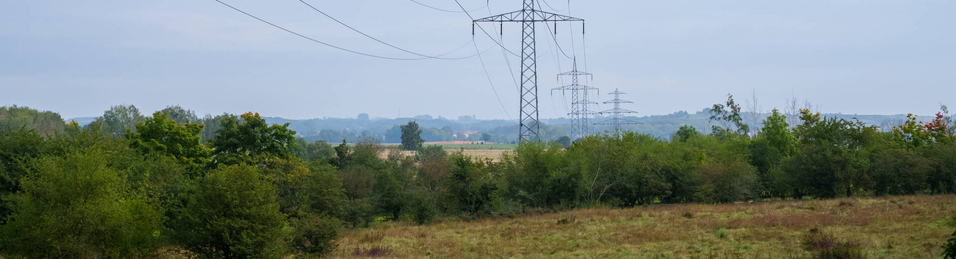 Ökologisches Trassenmanagement, ÖTM