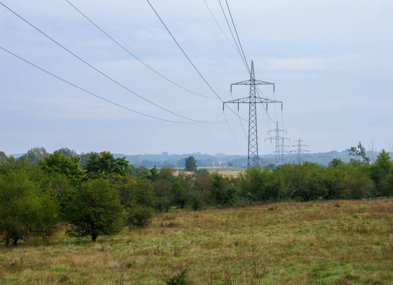 Ökologisches Trassenmanagement, ÖTM