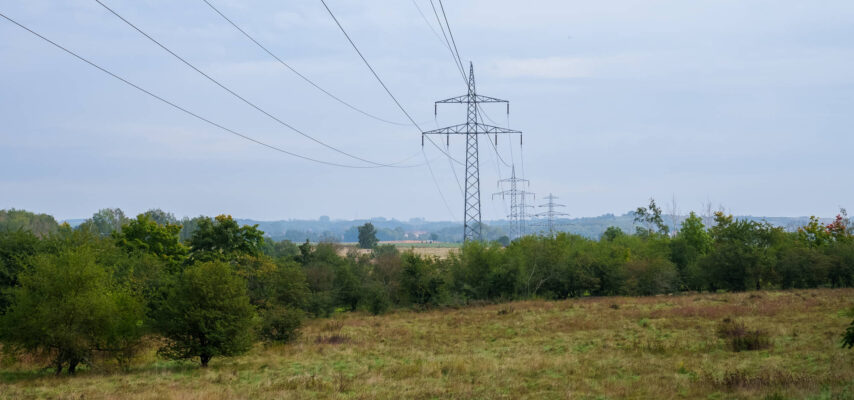 Ökologisches Trassenmanagement, ÖTM