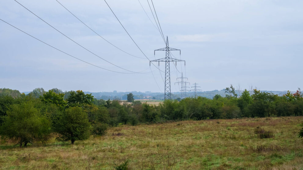 Ökologisches Trassenmanagement, ÖTM
