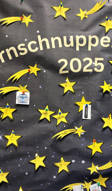 Projekt Sternschnuppen, Mitarbeiter erfüllen Wünsche