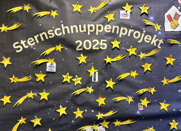 Projekt Sternschnuppen, Mitarbeiter erfüllen Wünsche