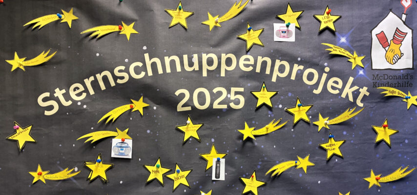 Projekt Sternschnuppen, Mitarbeiter erfüllen Wünsche