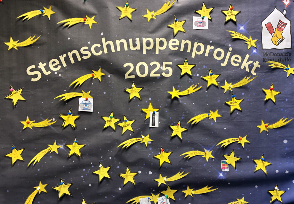 Projekt Sternschnuppen, Mitarbeiter erfüllen Wünsche