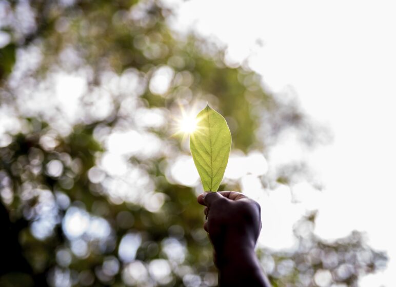 Hand hält ein grünes Blatt gegen hellen Himmel, Sonnenlicht scheint durch das Blatt und erzeugt einen Lichtstern.
