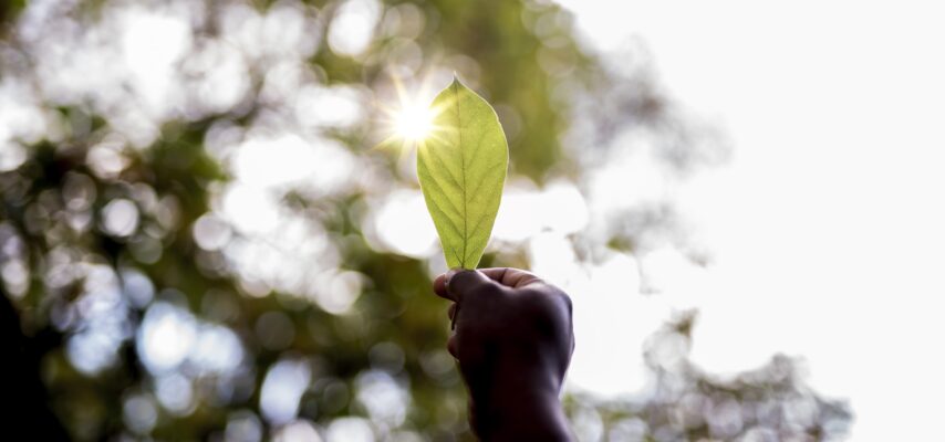 Hand hält ein grünes Blatt gegen hellen Himmel, Sonnenlicht scheint durch das Blatt und erzeugt einen Lichtstern.