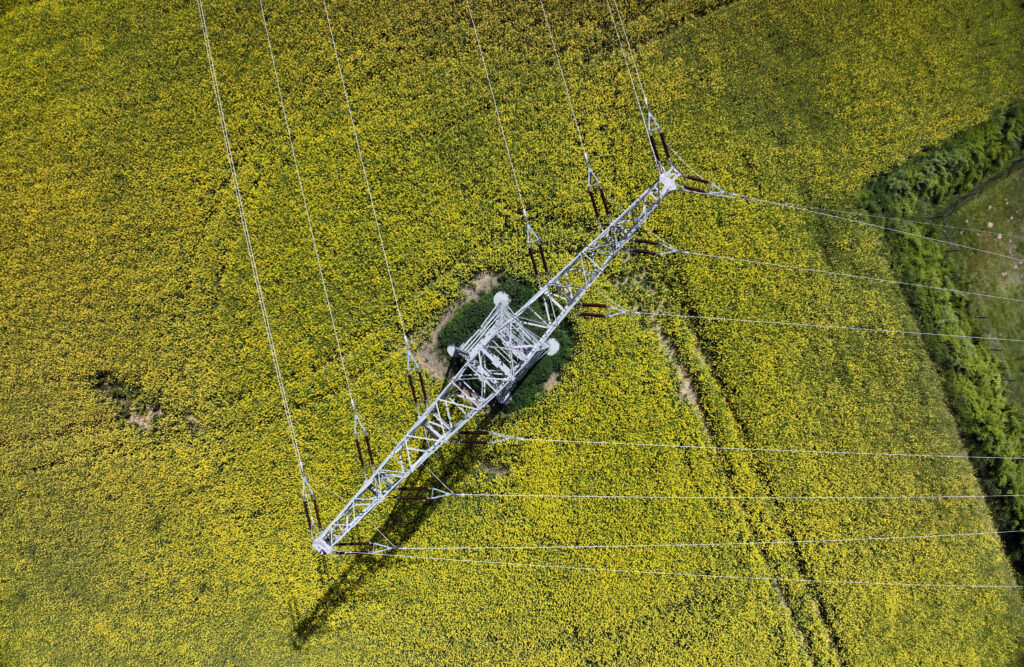 Hochspannungsmast schräg über ein leuchtend gelbes Rapsfeld gespannt, Stromleitungen verlaufen quer durchs Bild, rechts Grünstreifen.