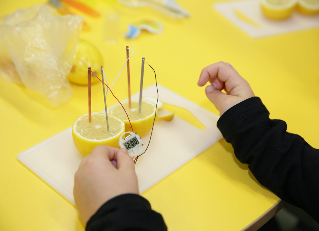 Kinderhände verbinden Kabel und Metallstifte, die in halbierten Zitronen stecken, mit einem kleinen digitalen Messgerät auf gelbem Tisch