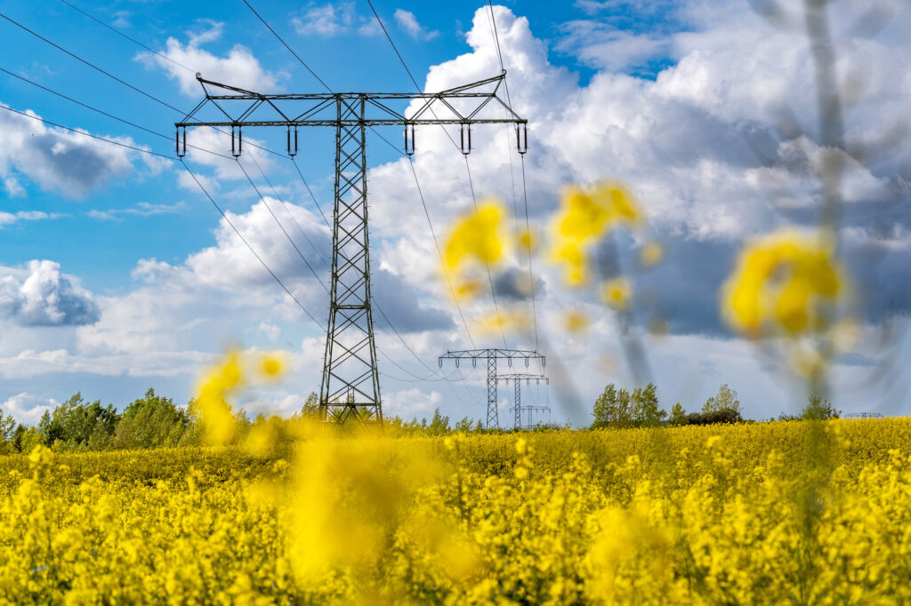 Hochspannungsmast mit Leiterseilen, der über ein gelbes Rapsfeld vor blauem Himmel mit weißen Wolken verläuft.