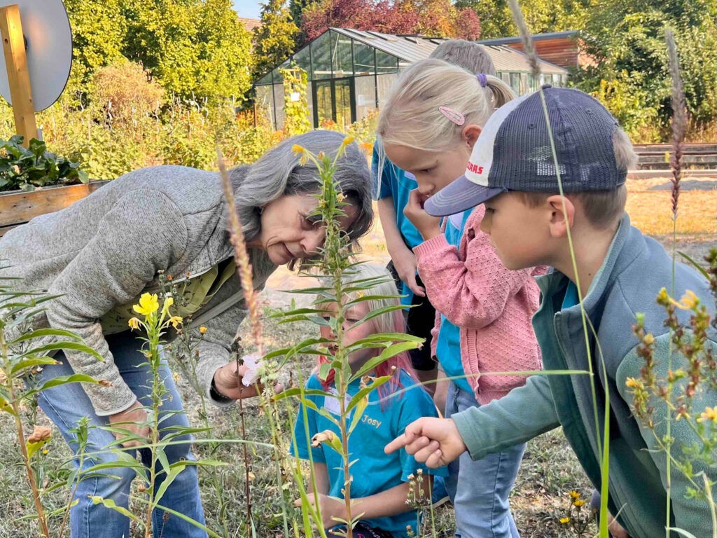 Ältere Frau zeigt drei Kindern in einem Garten eine Pflanze; Gewächshaus und Blumen im Hintergrund.